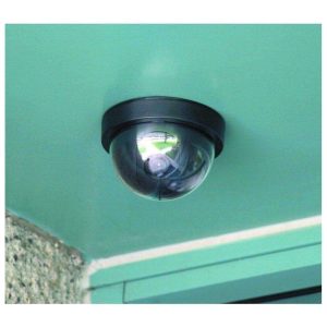 Bunker Hill Security Imitation Dome Security Surveillance camera with LED