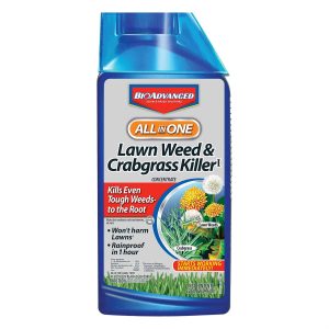 BioAdvanced All-In-One Grass Weed & Crabgrass Killer