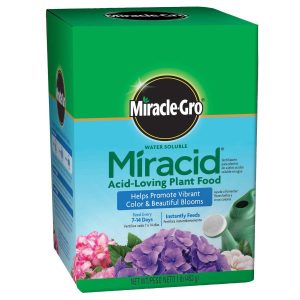 Miracle-Gro Miracid Acid-Loving Greenery Food