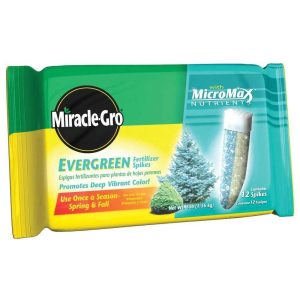 Miracle-Gro Evergreen Plant food Spikes